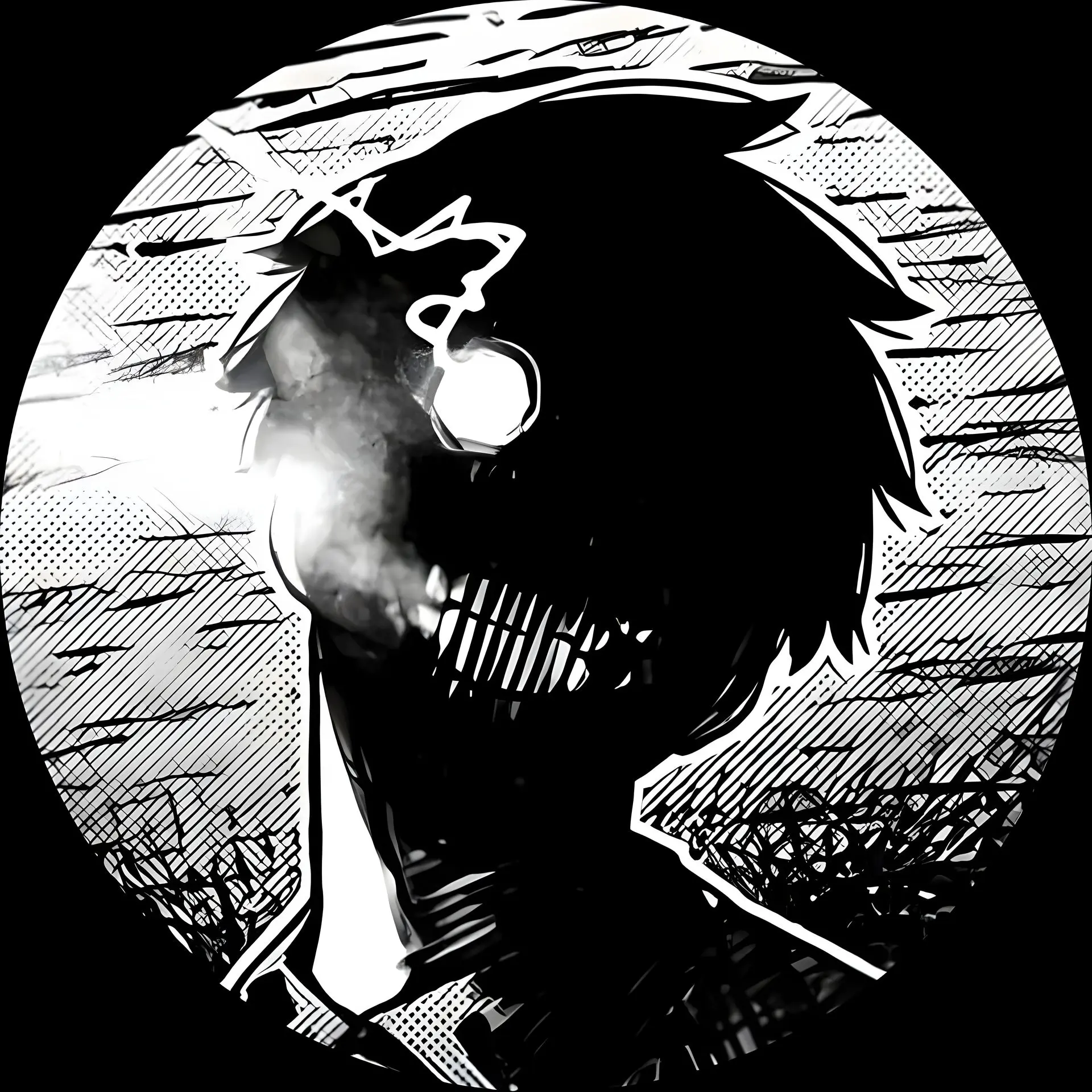 ANime Profile 